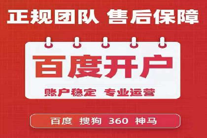 顶级SEM运营公司案例分析